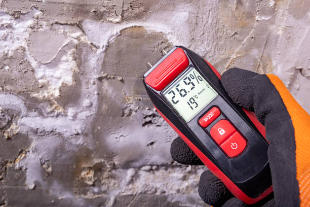 Best Bathroom Mold Remediation in August, CA